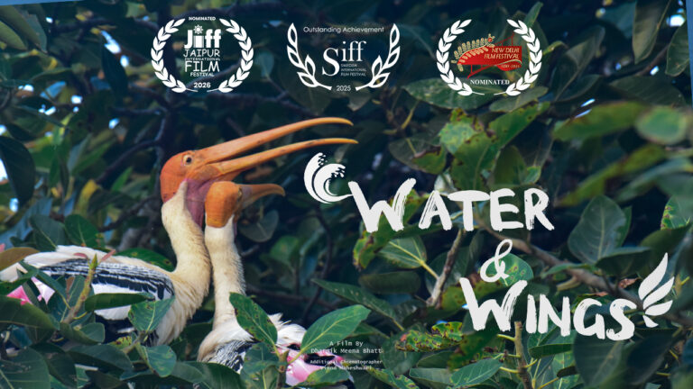 Water and Wings Trailer